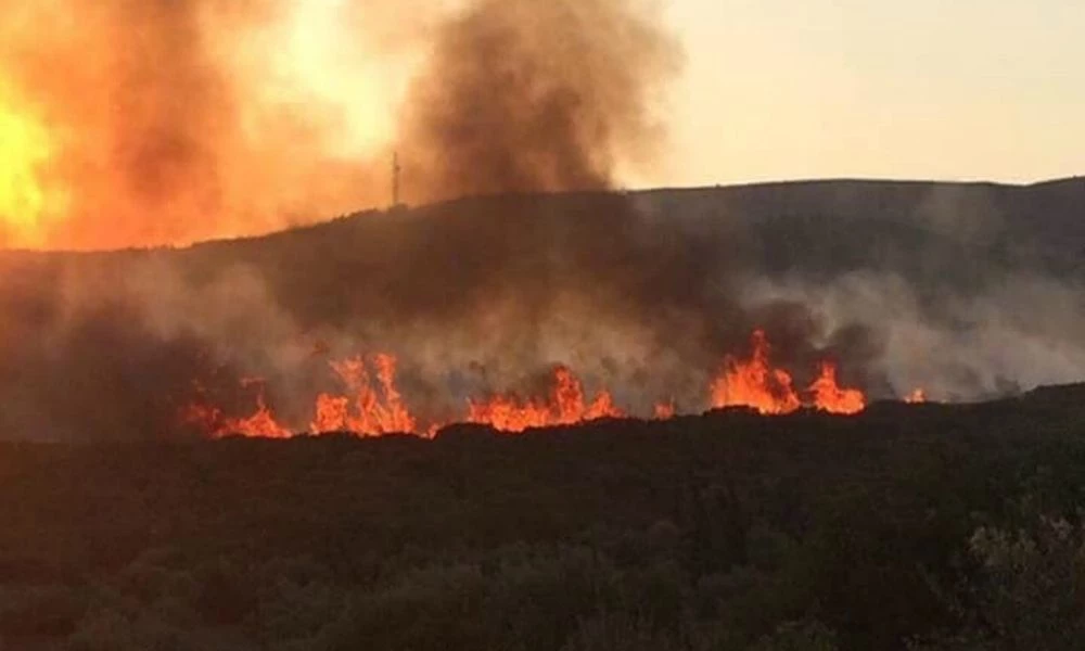 Απειλείται άμεσα από τη φωτιά ίδρυμα που φιλοξενεί παιδιά με ειδικές ανάγκες